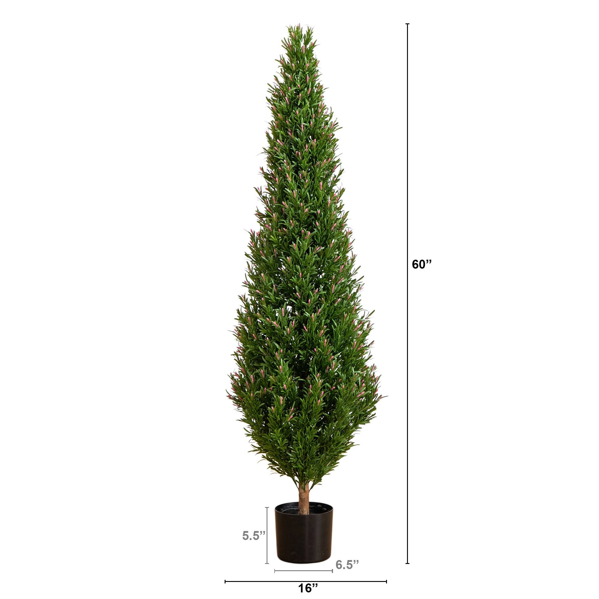 5ft. Potted UV Resistant Rosemary Cone Topiary Tree